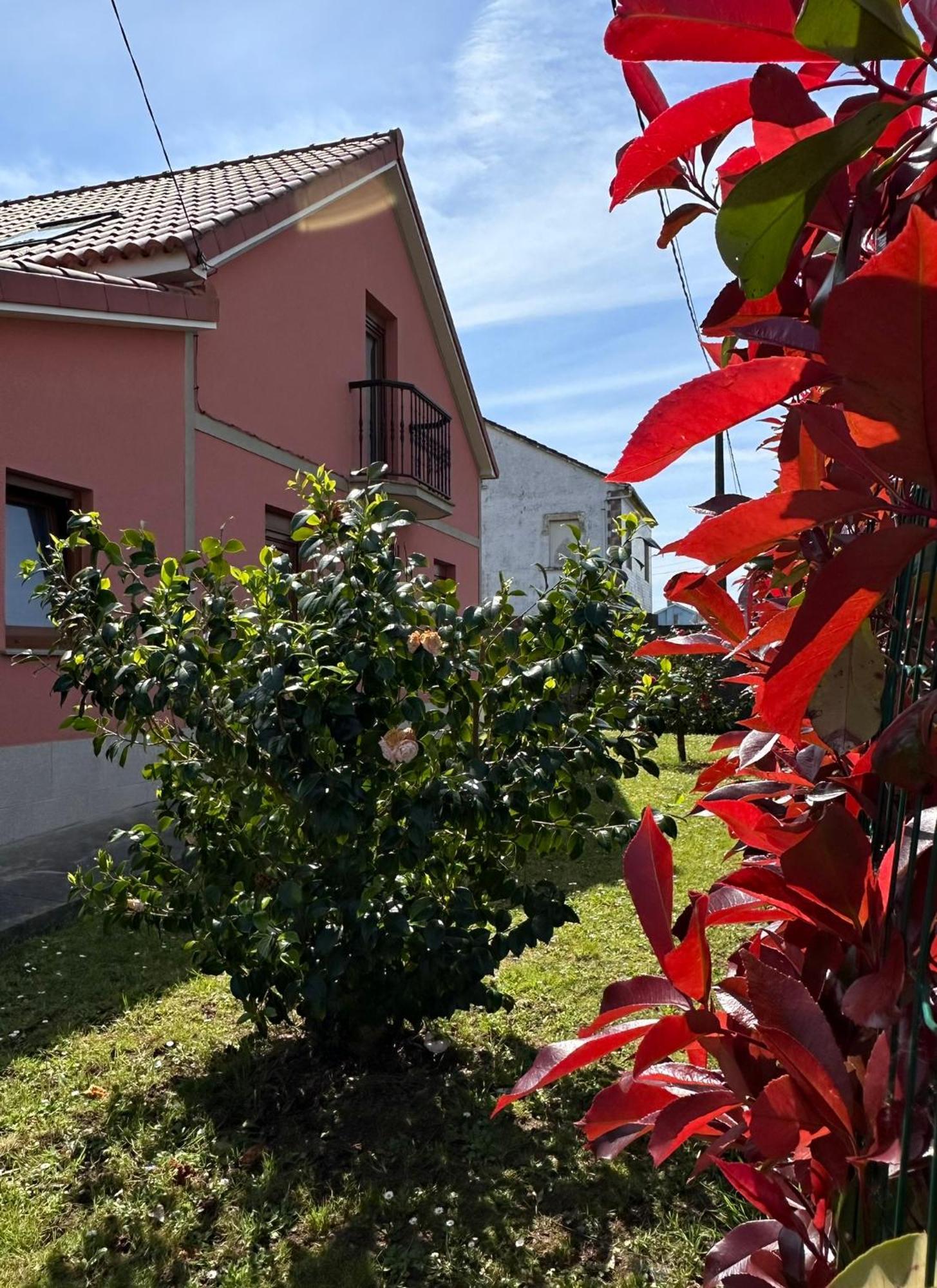 Valdoviño Casa Bieiteirosヴィラ エクステリア 写真
